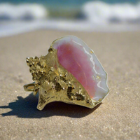 conch shell shown facing front with the enamelling visible