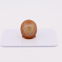 golden south sea pearl