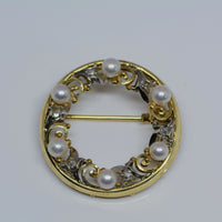 full view of brooch