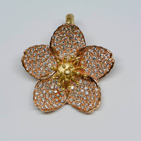 front view of the cherry blossom