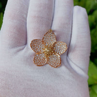 rose gold cherry blossom in shaded sunlight