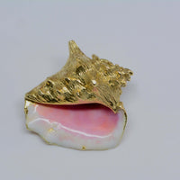 another view of the shell and enamel