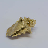 showing the pendant/charm ring on the shell