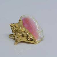 front view of conch showing the enamelling