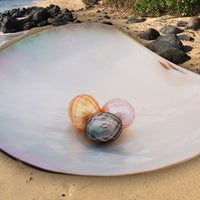 faceted pearls of different origins sitting in an oyster shell
