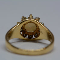 rear view of the ring