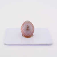 pink freshwater pearl