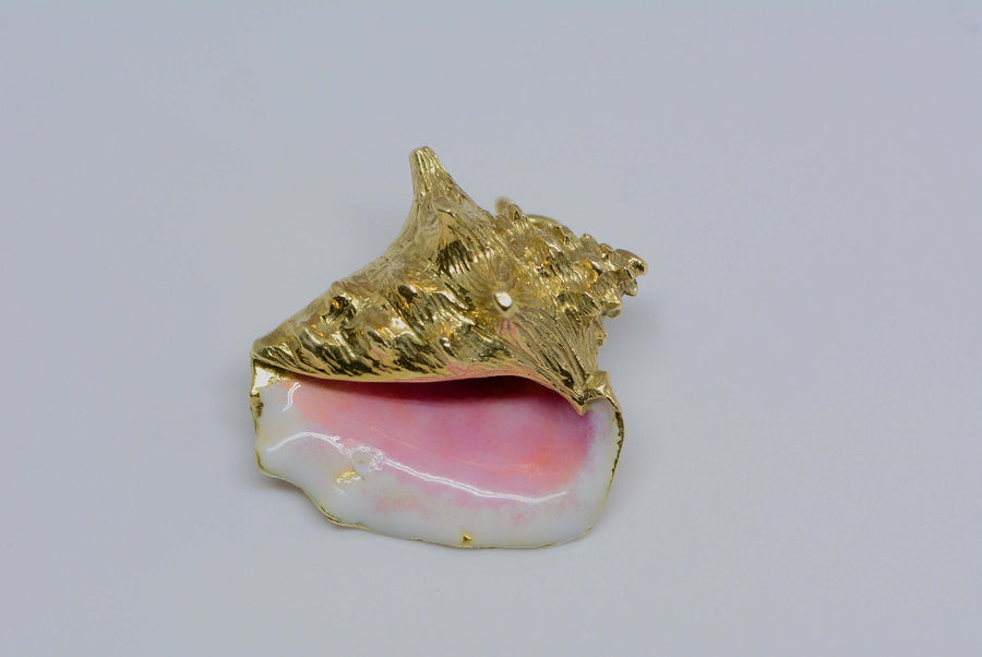another view of the shell and enamel