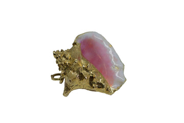 conch shell shown facing front with the enamelling visible